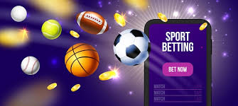 Vivi is your one-stop platform for premium betting experiences 11