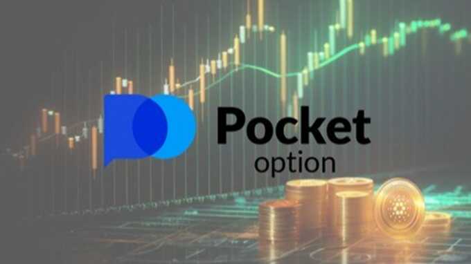 Everything You Need to Know About Pocket Option App Android